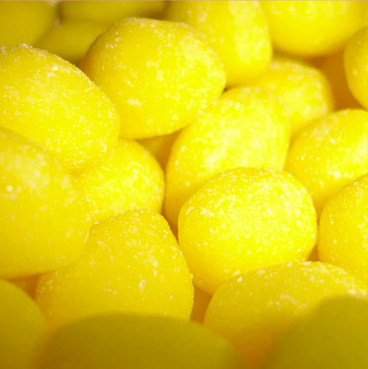 Lemon Sherbet