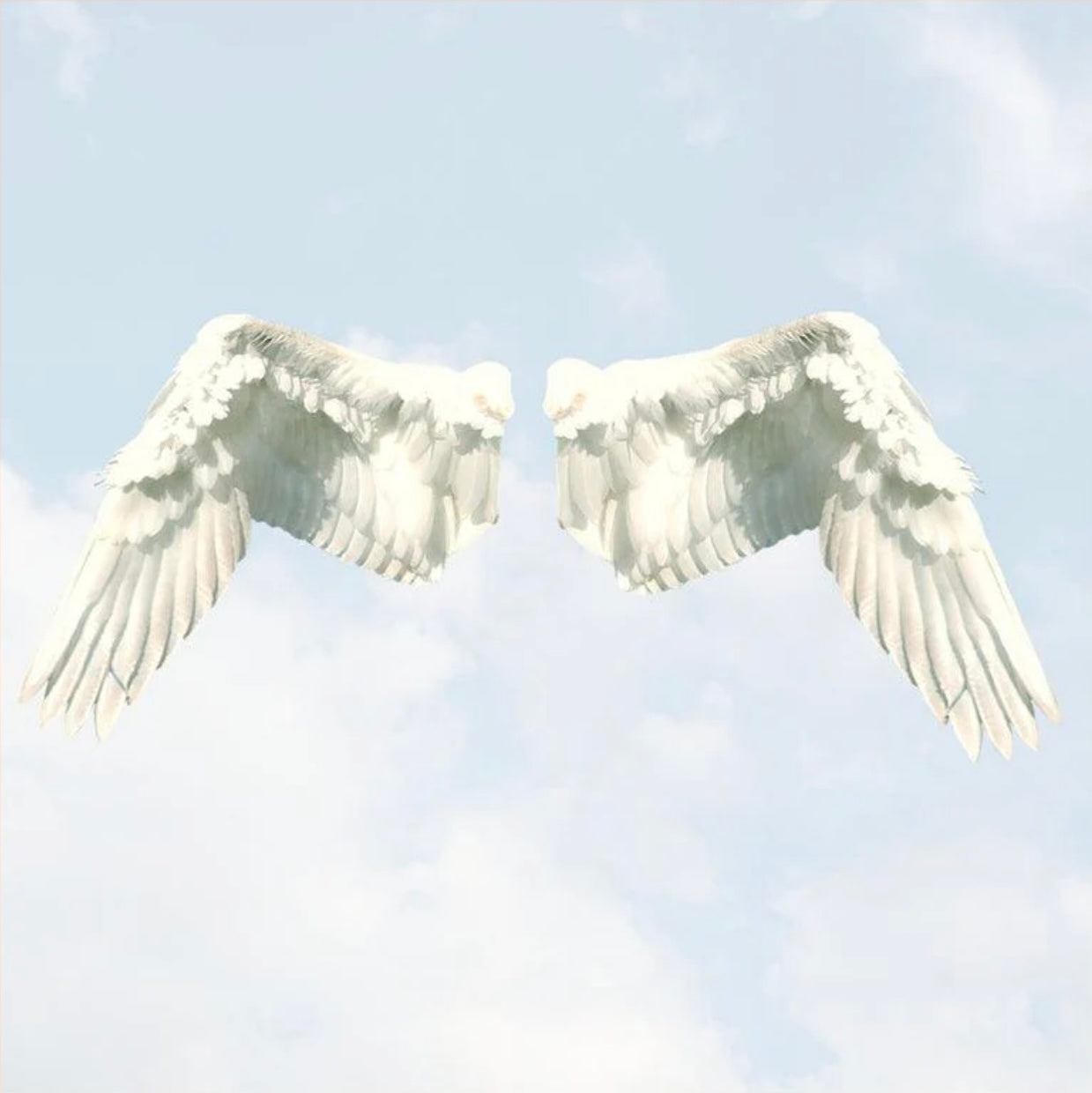Angels