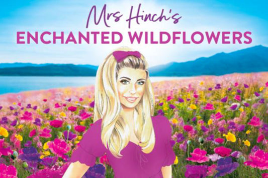 Enchanted Wildflowers